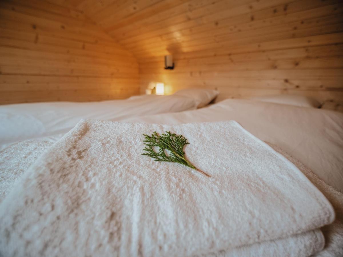 River Residence Chalet Statiunea Climaterica Sambata Eksteriør billede