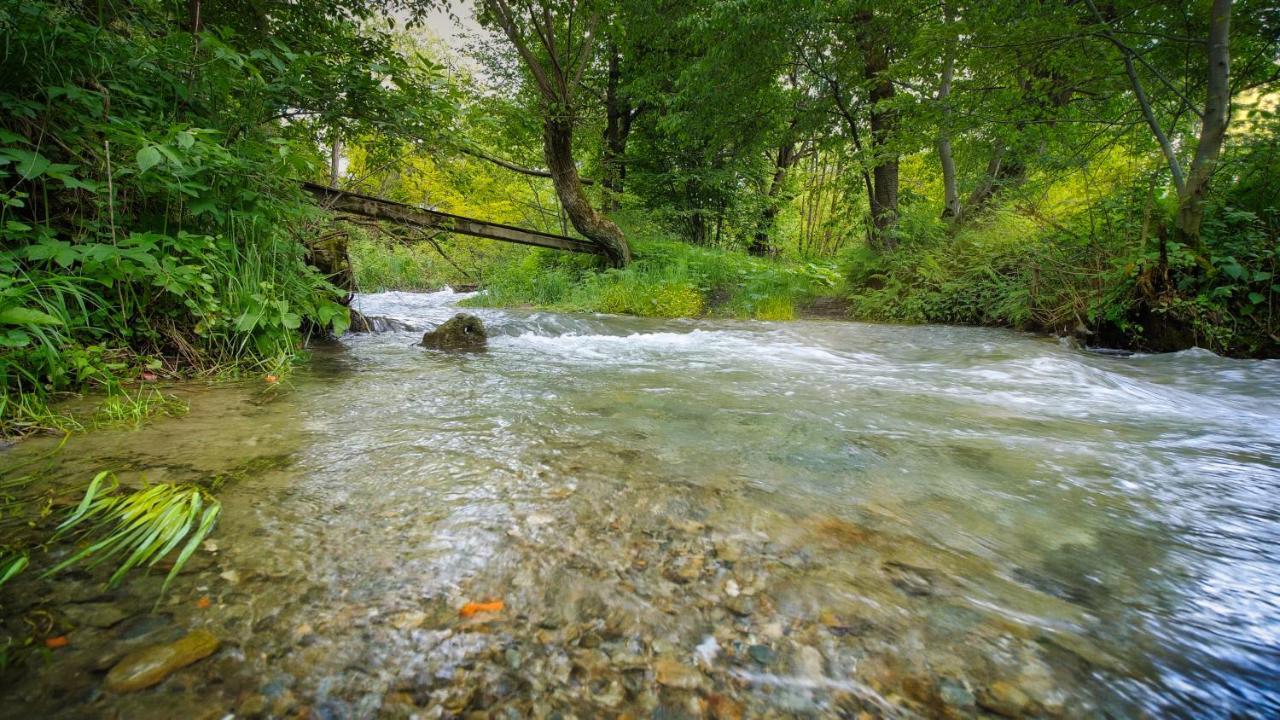 River Residence Chalet Statiunea Climaterica Sambata Eksteriør billede