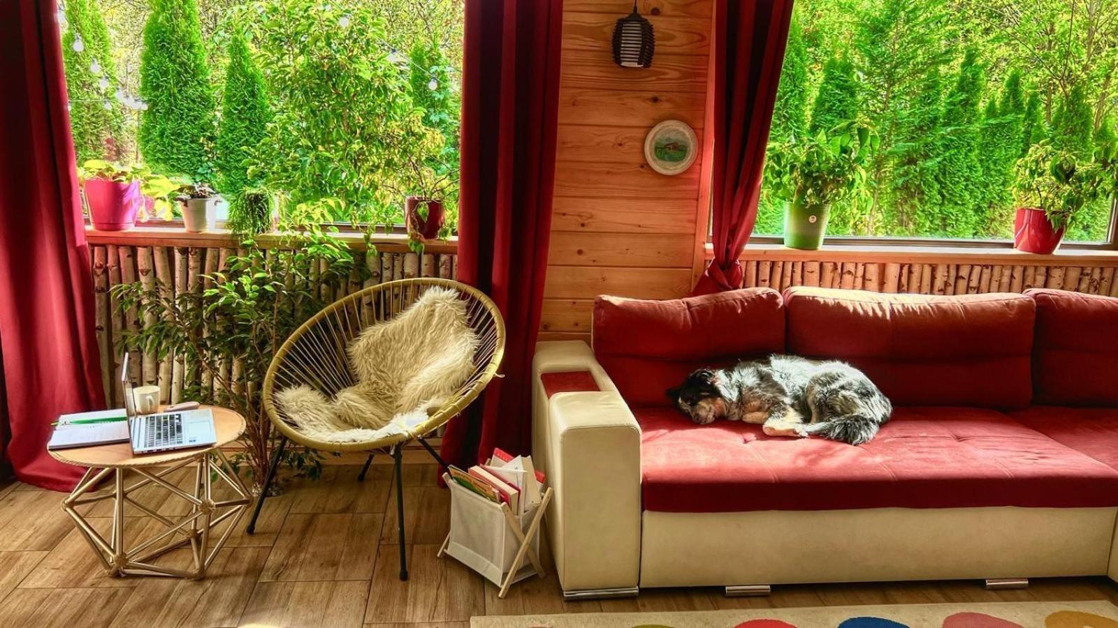 River Residence Chalet Statiunea Climaterica Sambata Eksteriør billede